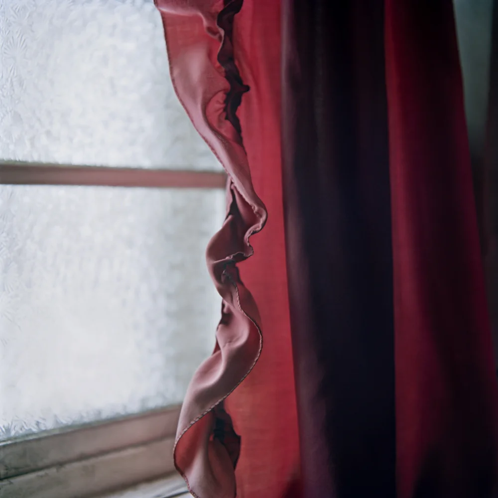 Some things were hidden from view, 2013