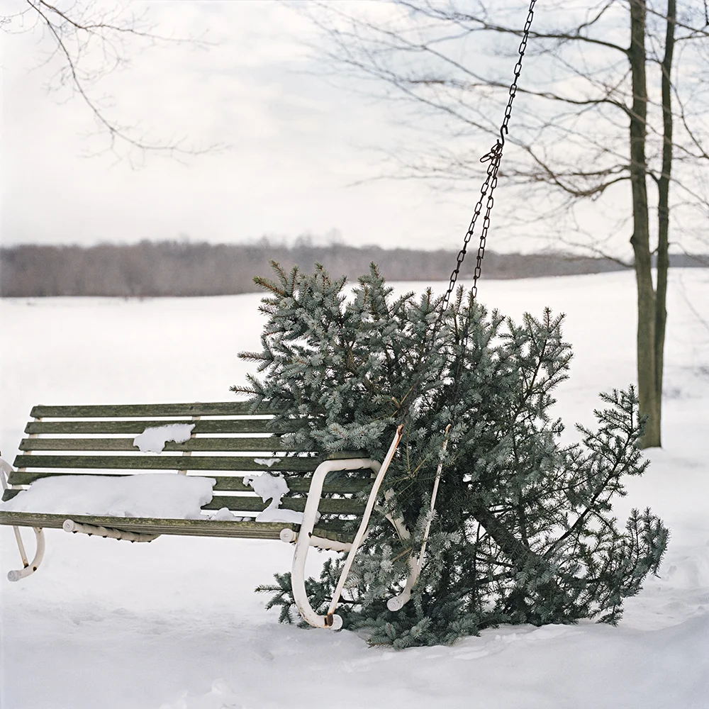 Winter Was Long That Year