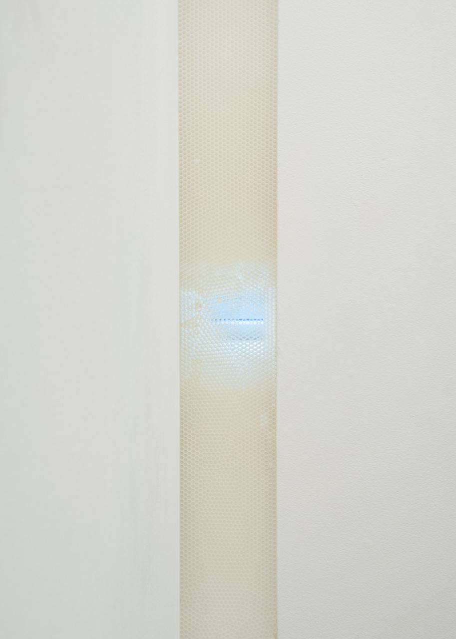 surface tension detail.jpg
