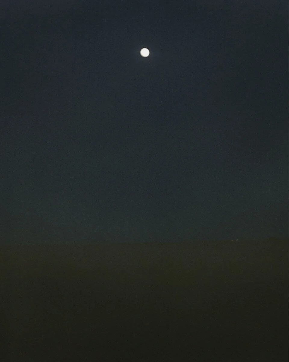 Desert Moon, 2018