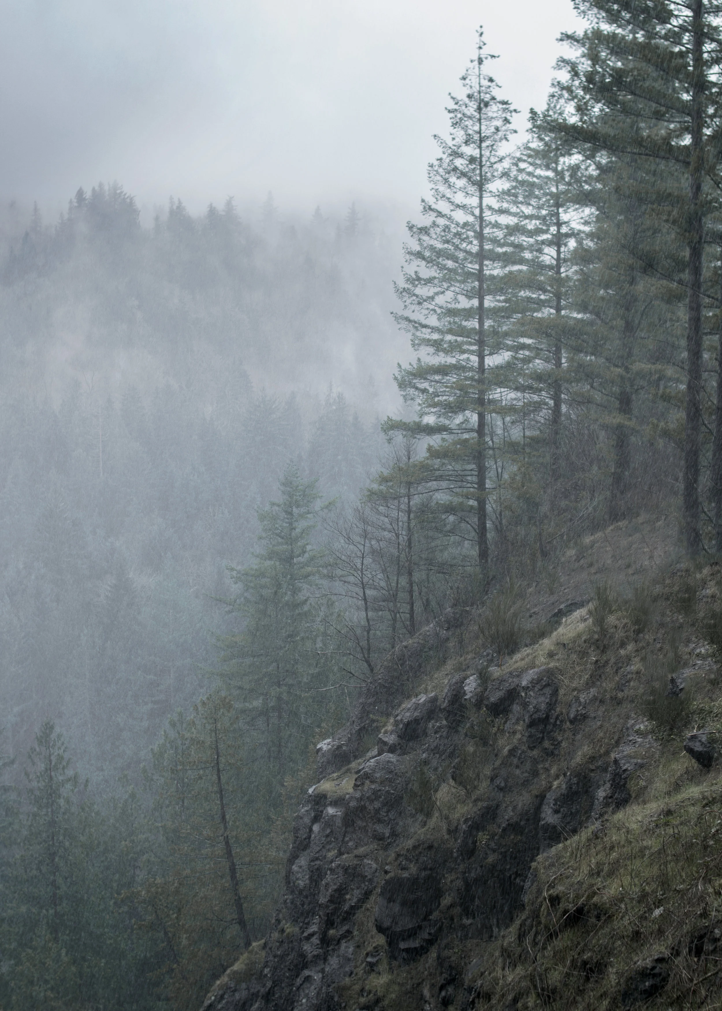 Snoqualmie Falls.jpg