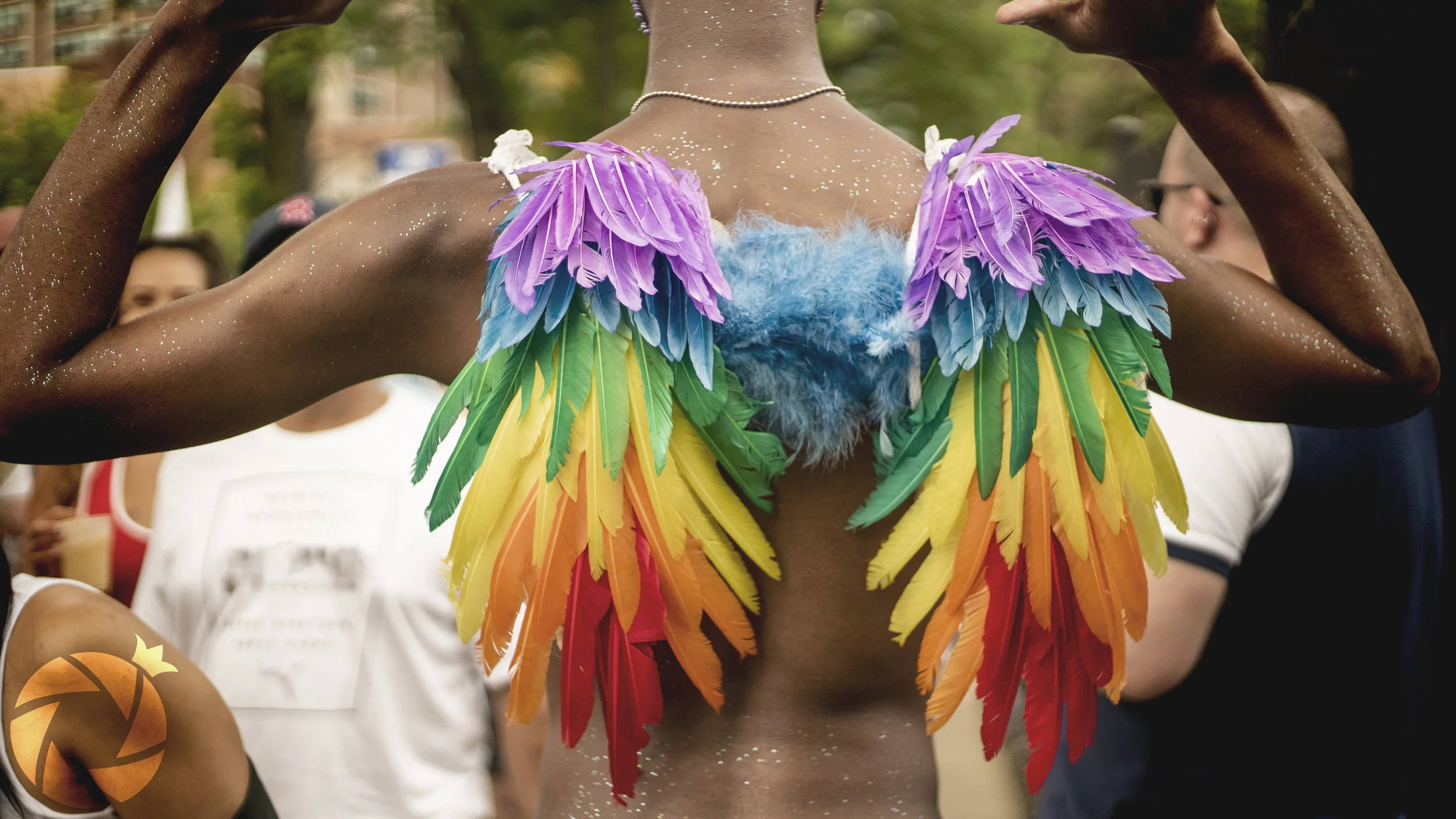 Feather Wings.jpg