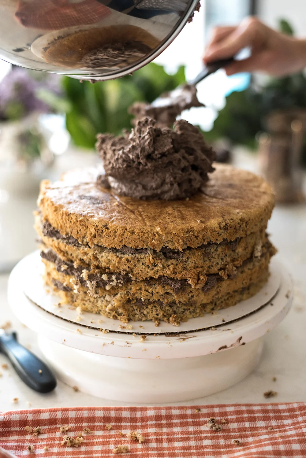 albertina-cisneros-Dios-Torte-28.jpg