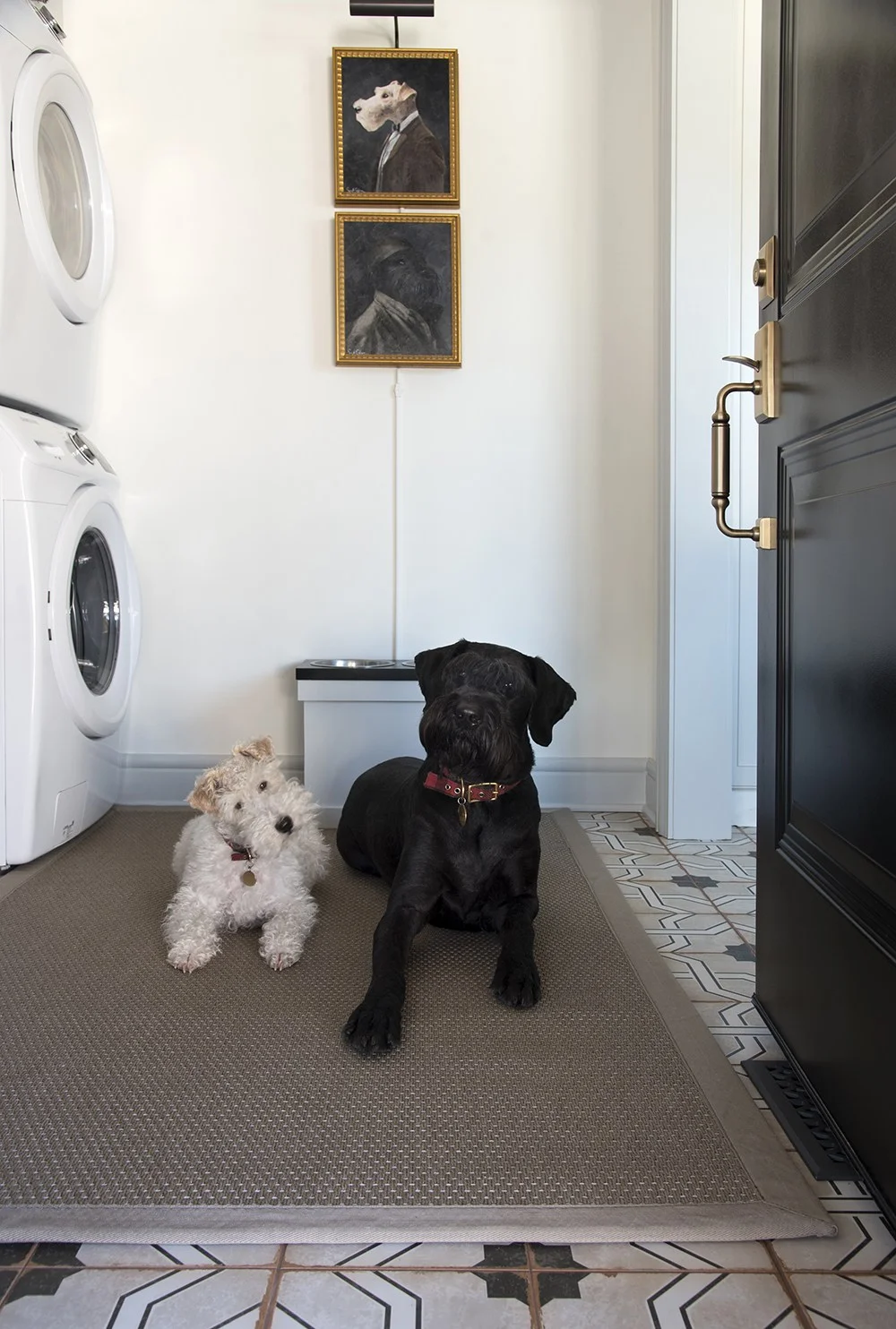 Dogs-In-the-Mud-Room.jpg