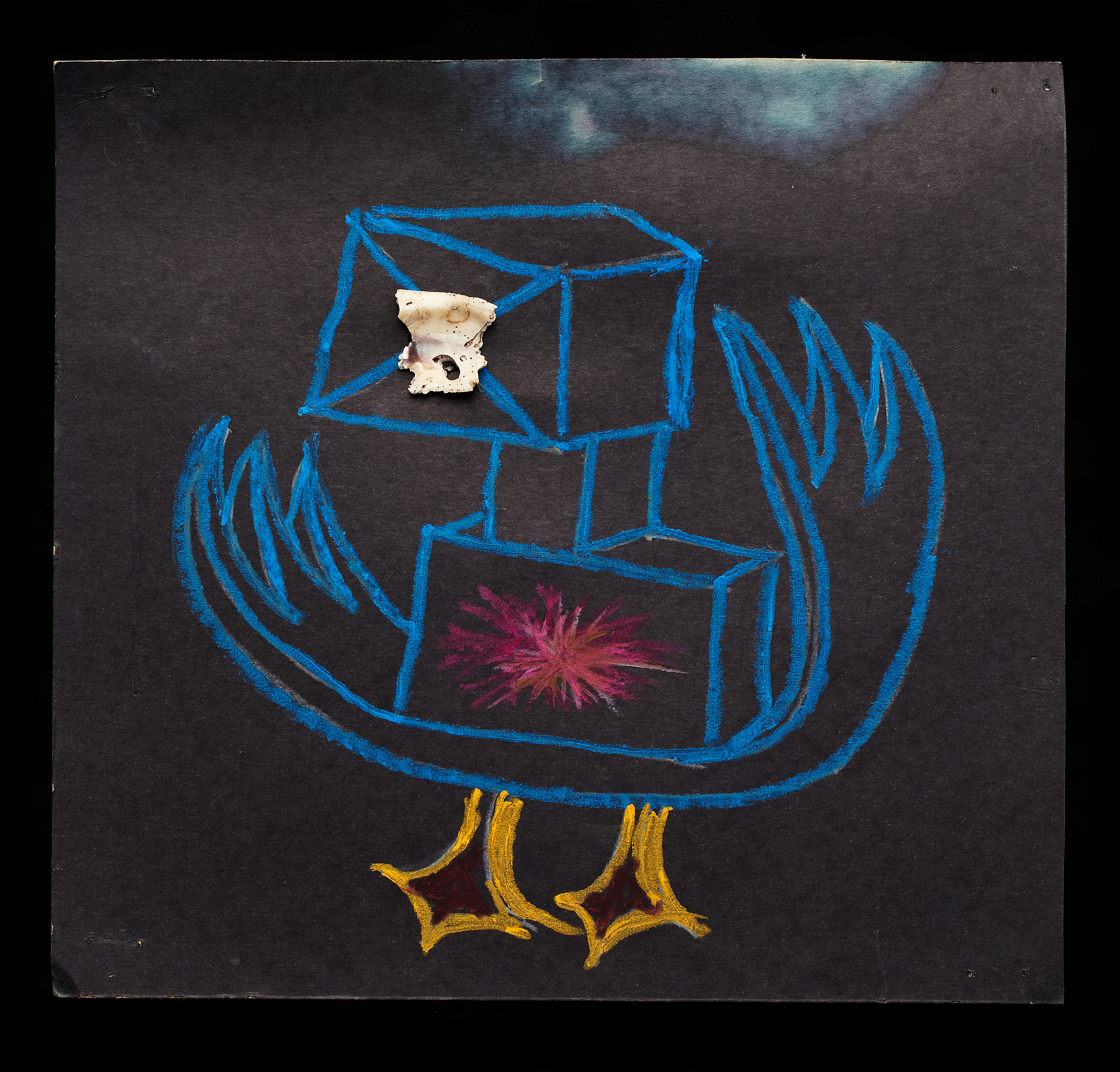 ShellArt-BoxBird by Thomas Wilson Laney