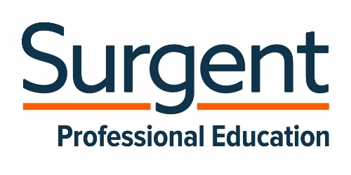 This was Surgent's pre-existing logotype.