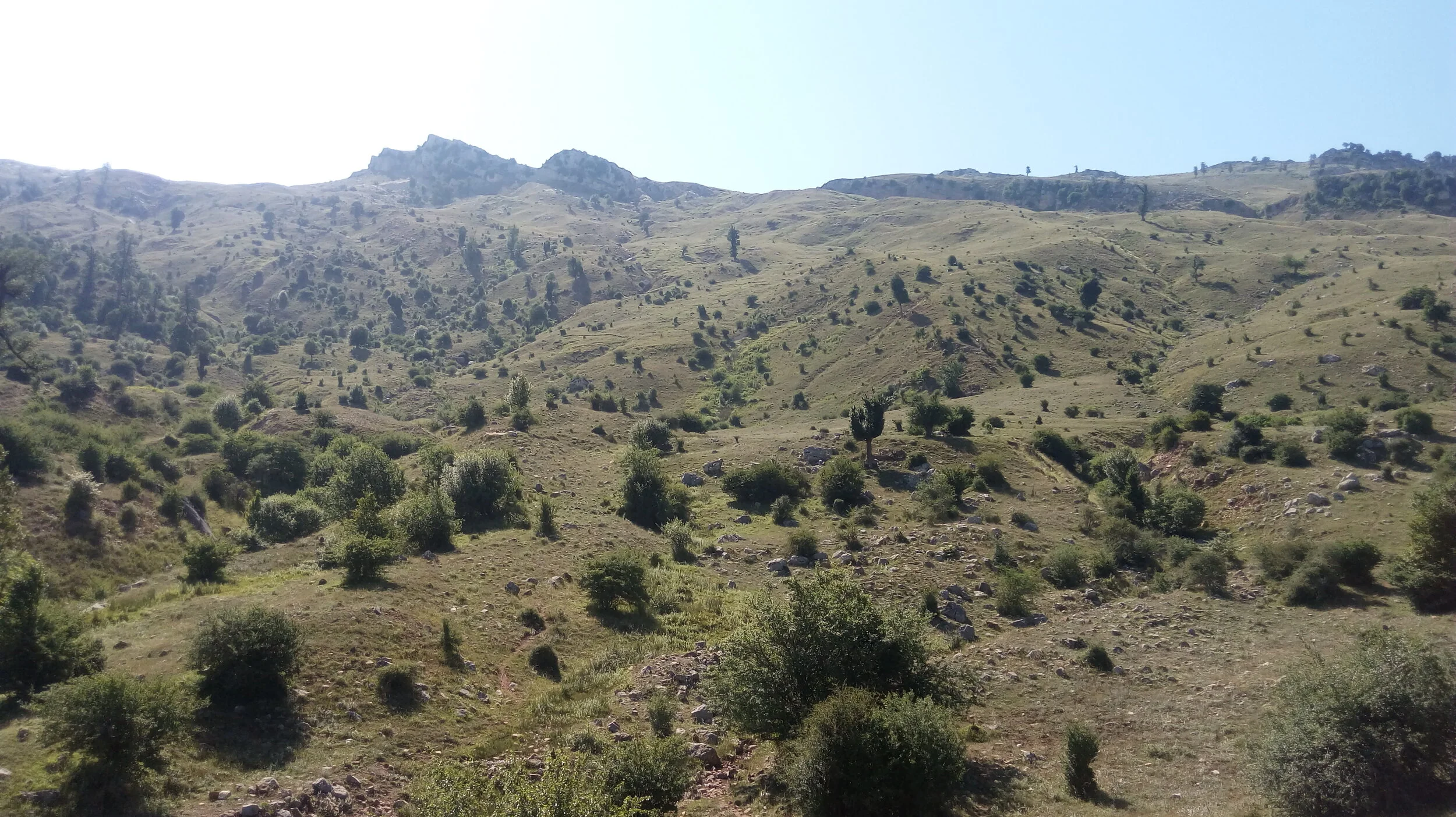 Episode 57 - The Resilient Life, Part 1: In the Wilderness