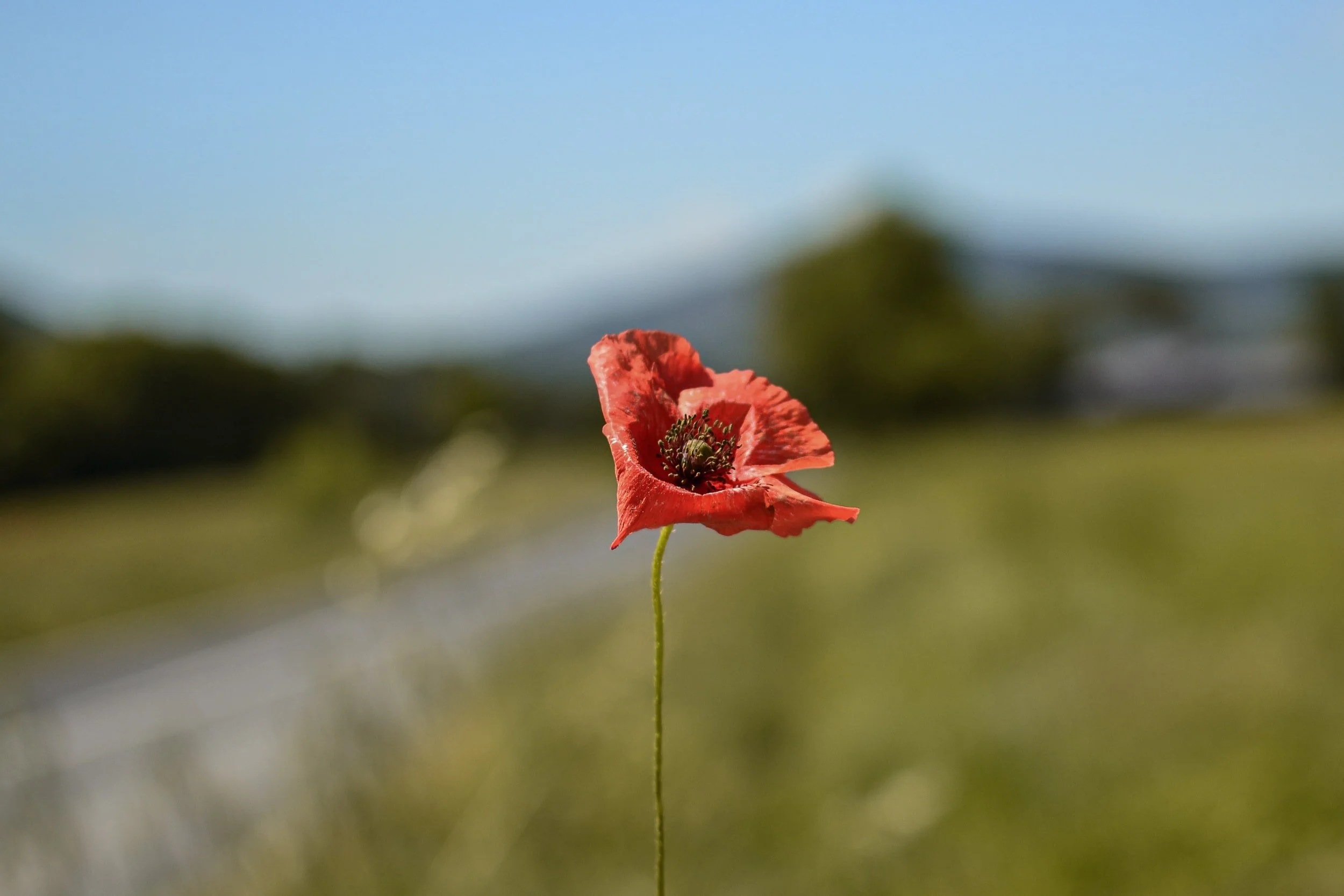 Episode 78 - Finding Comfort