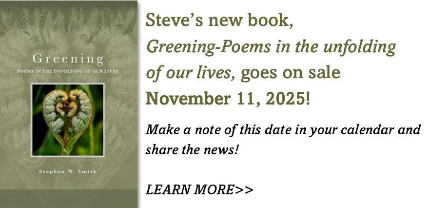 Sign up for updates and read praise from other readers - learn more about Stephen’s new book! Learn More »