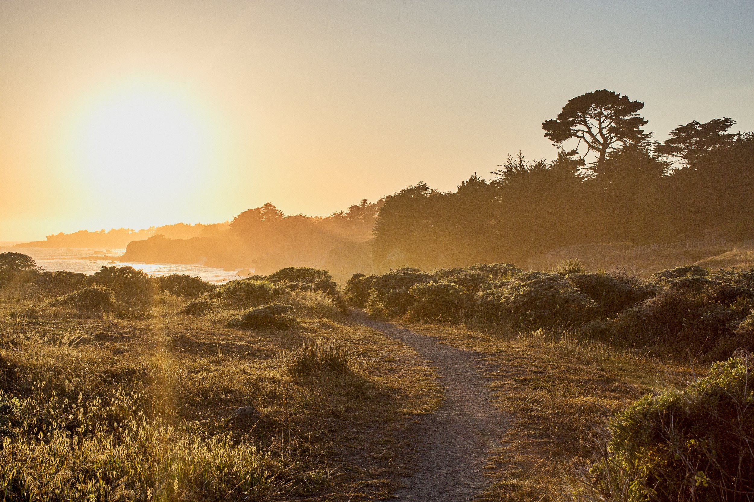 20150601_MENDOCINO_0018_01.jpg