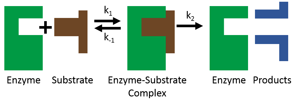 how-5.png
