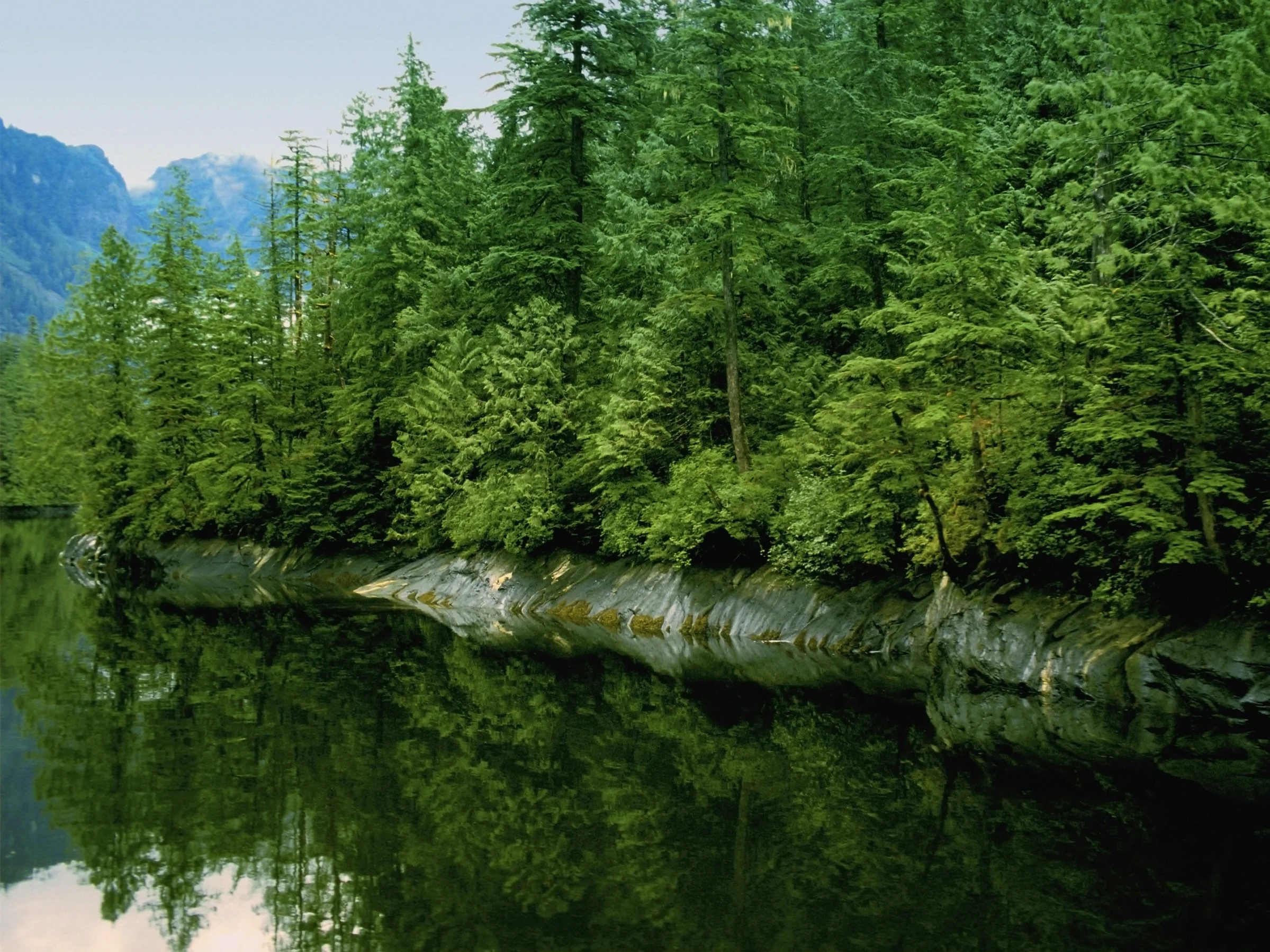 nature-1.jpg