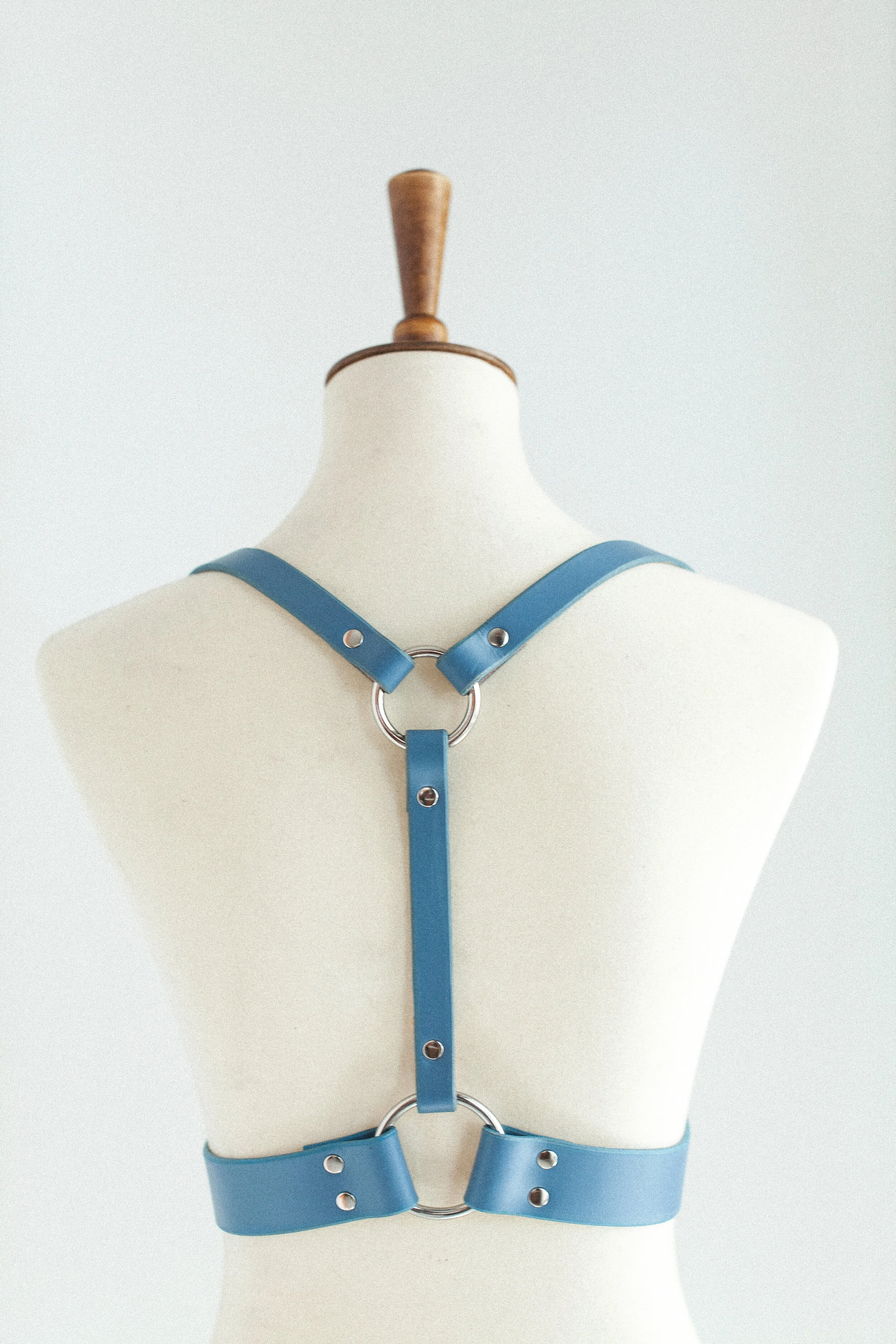 6305FA72-6F02-4D17-AB62-BA428C43F9B6