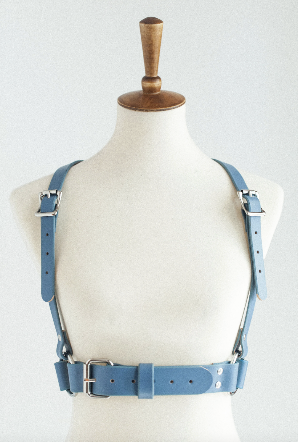 Agador Harness - Blue