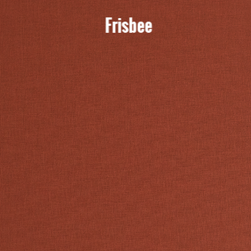 Frisbee.png