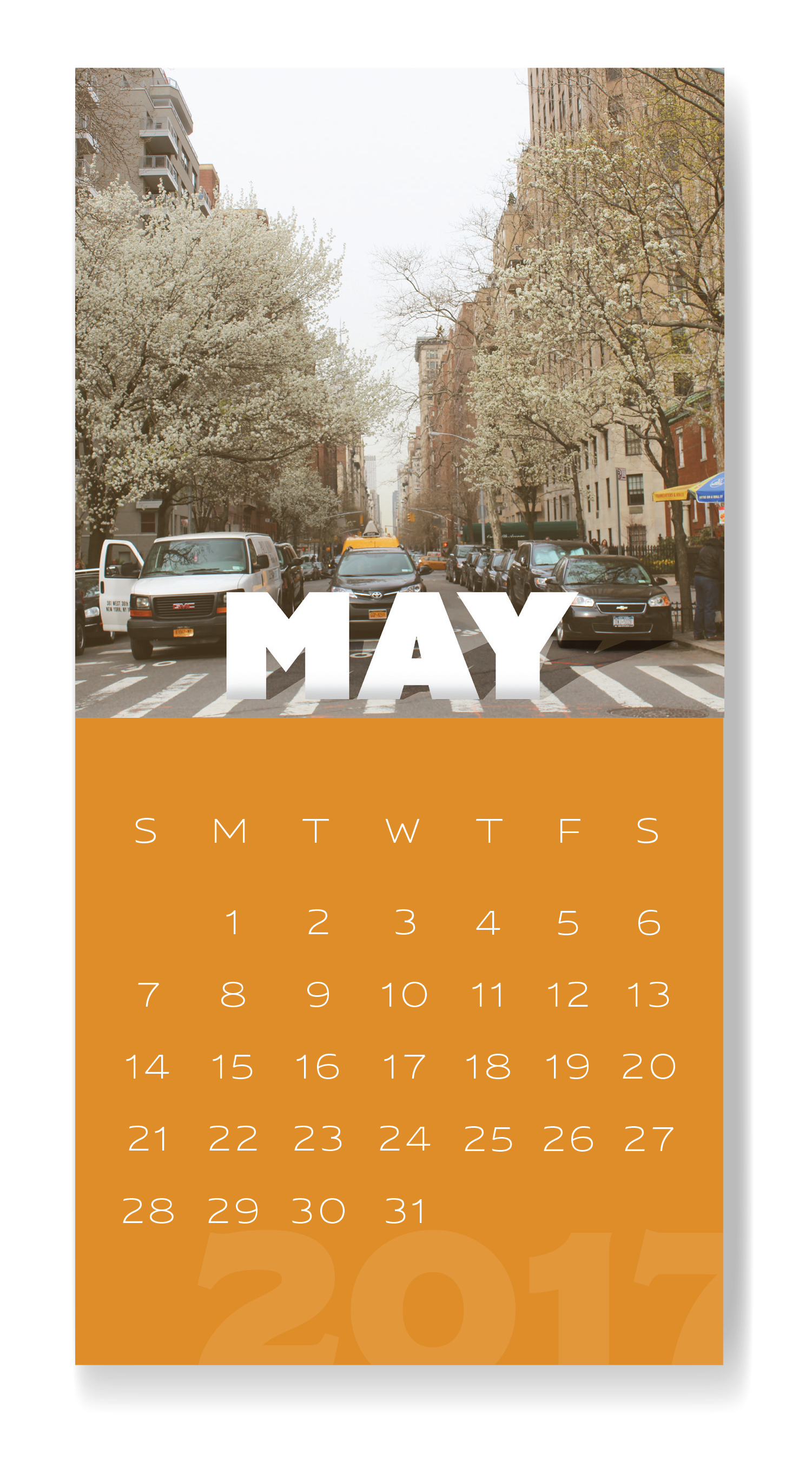 may-01.png