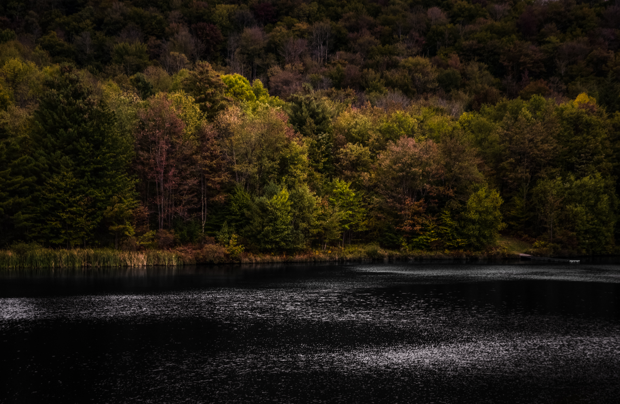 DSC_5949-Edit.jpg