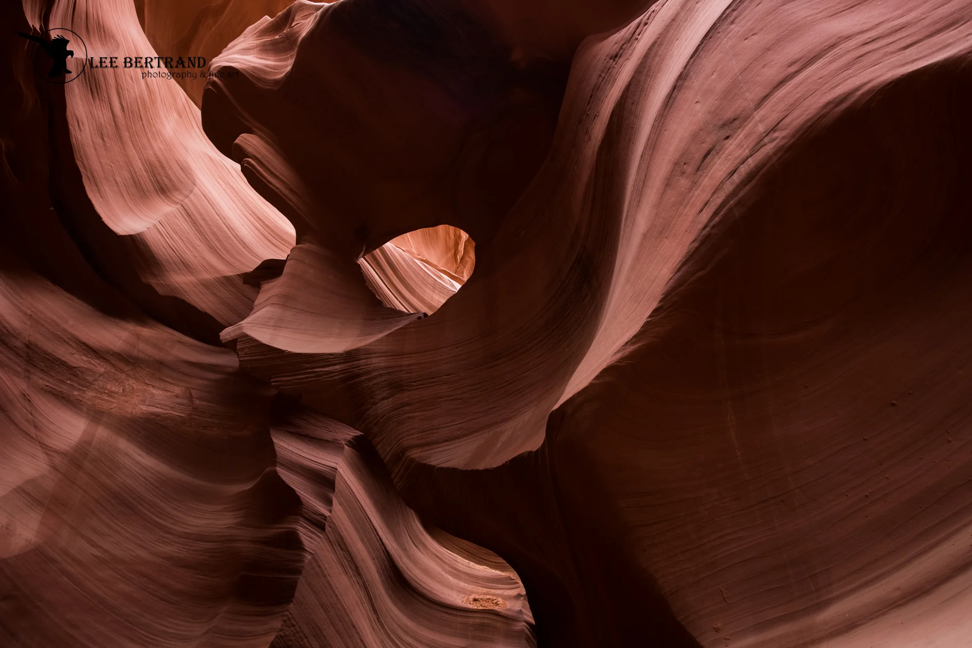 DSC_5844-HDR.jpg