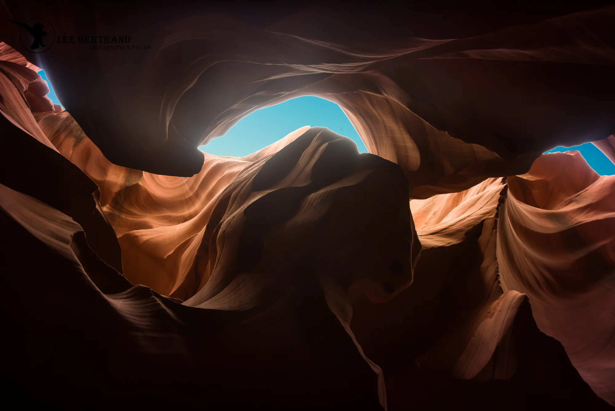 DSC_6027-Edit.jpg