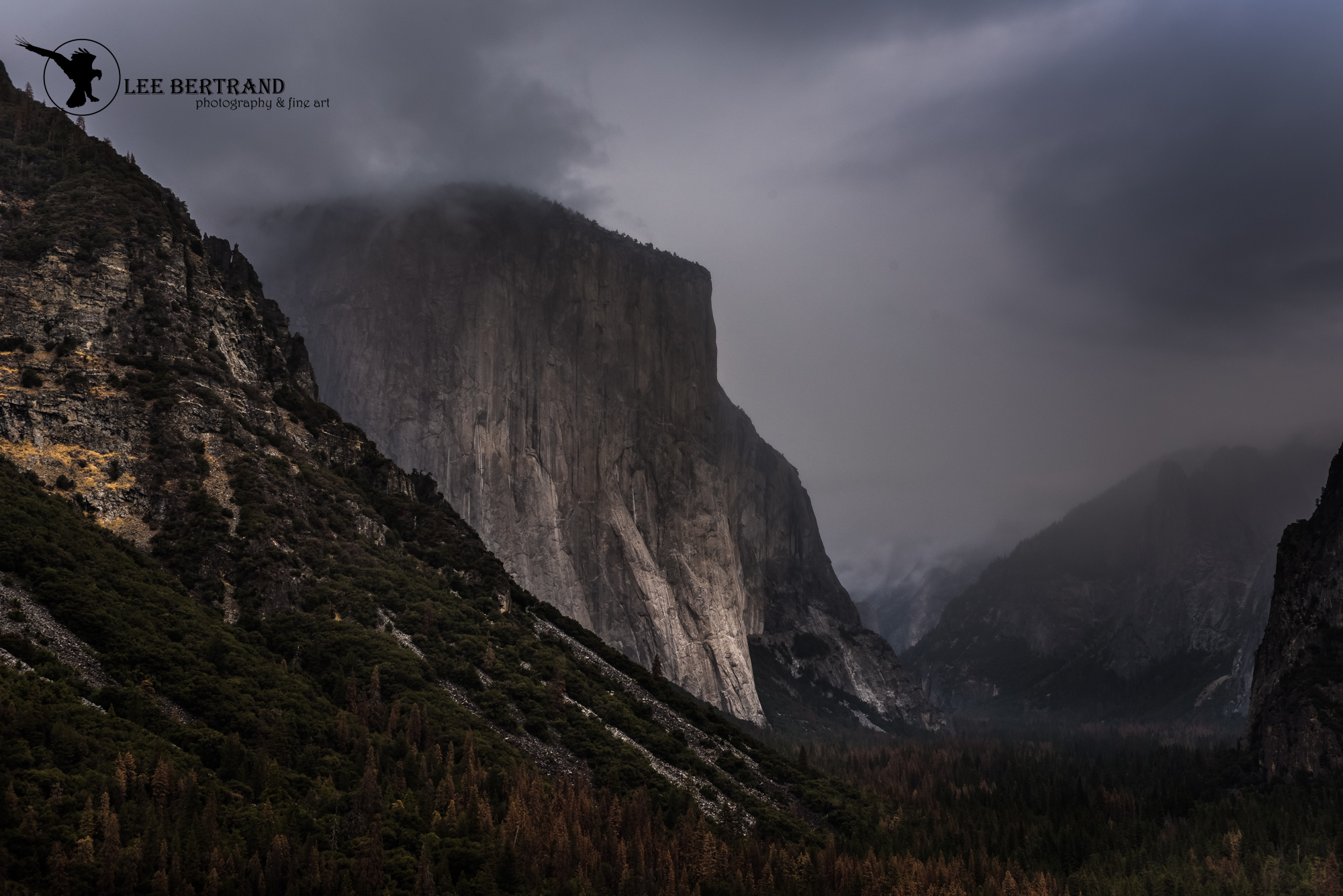 DSC_5674-Edit.jpg