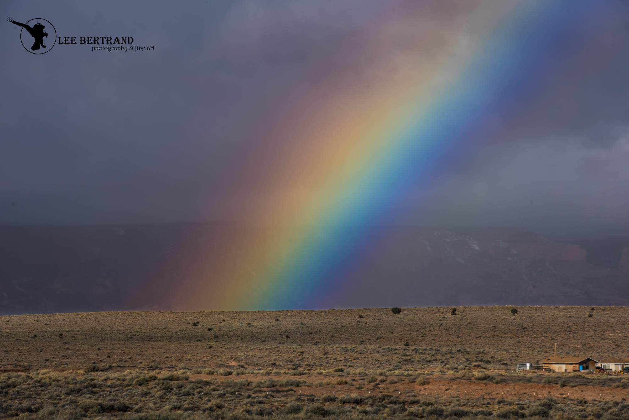 DSC_6343.jpg