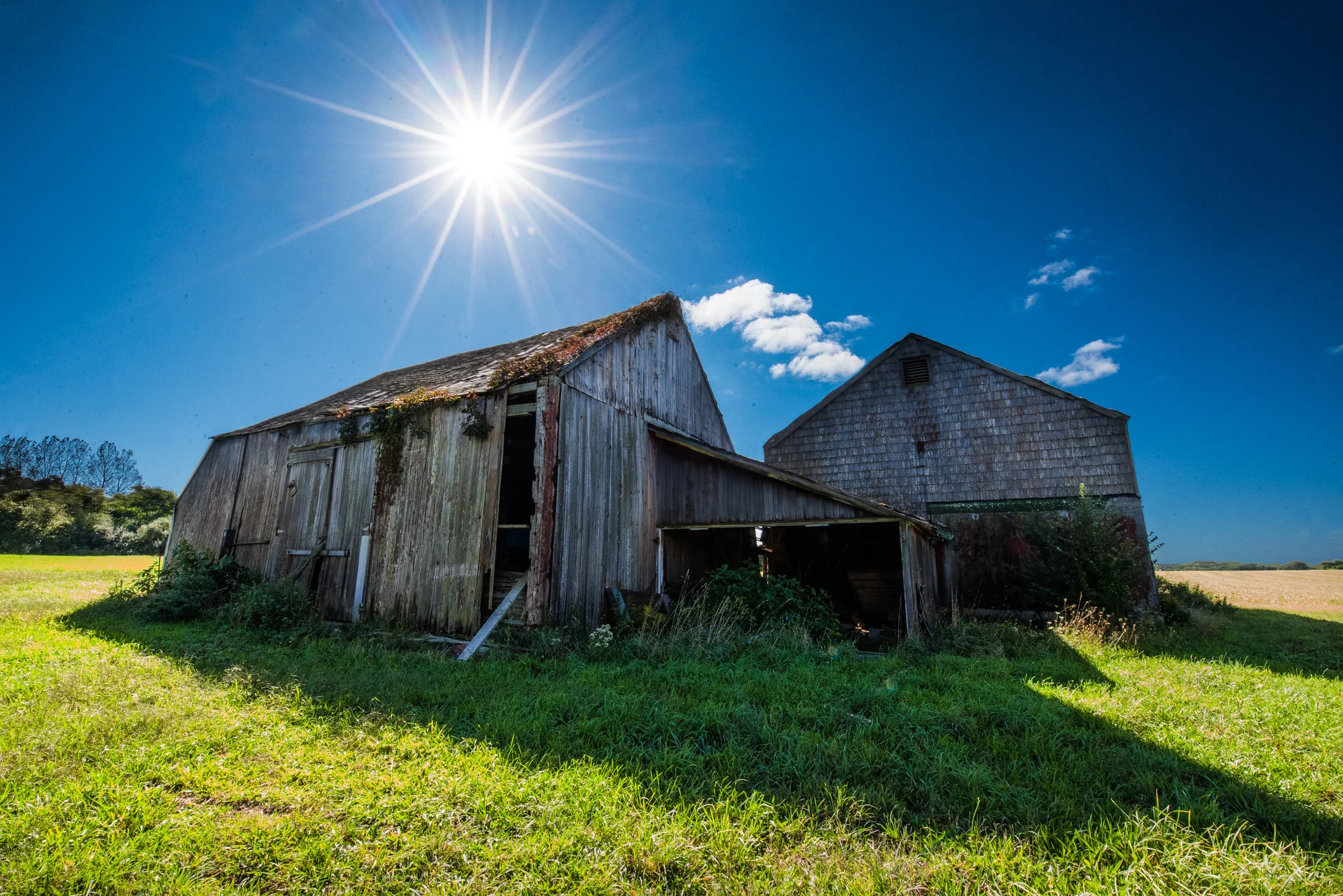 DSC_6473-Edit.jpg