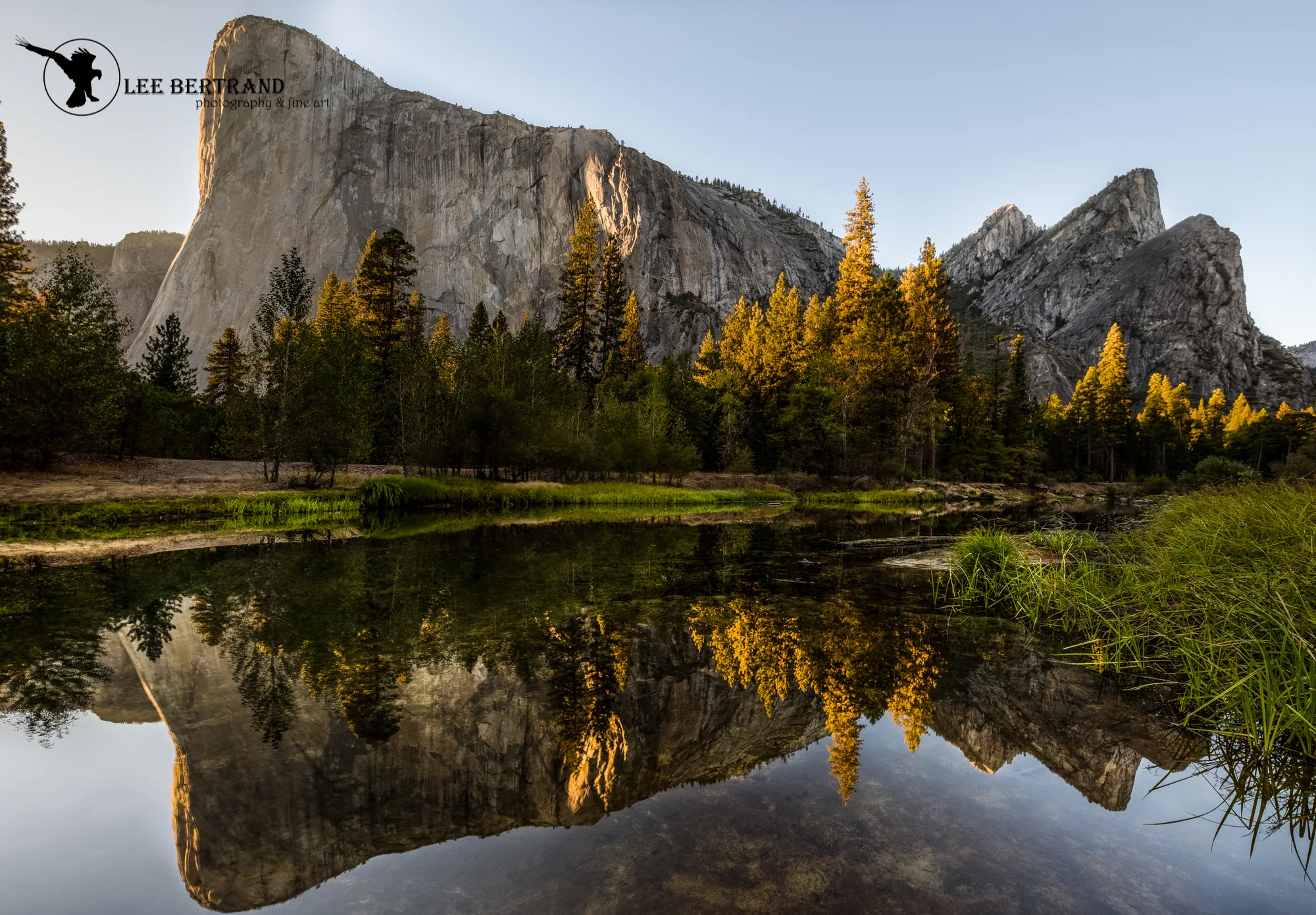 DSC_6695-Edit-Pano-Edit-Edit.jpg