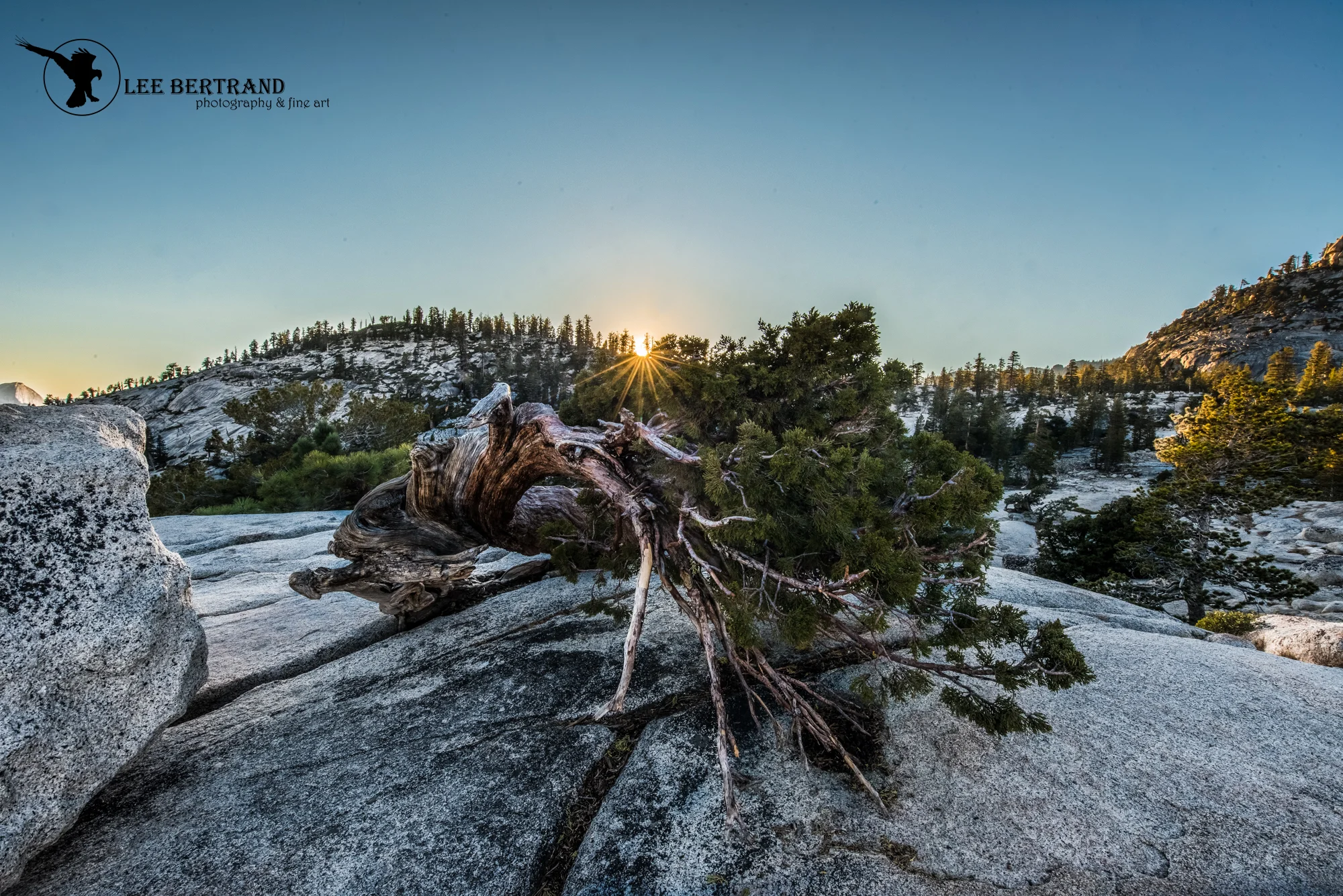 DSC_7002-HDR-Edit.jpg