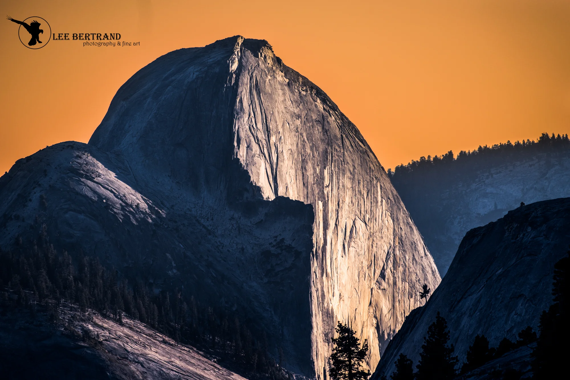 DSC_7050-Edit-2.jpg