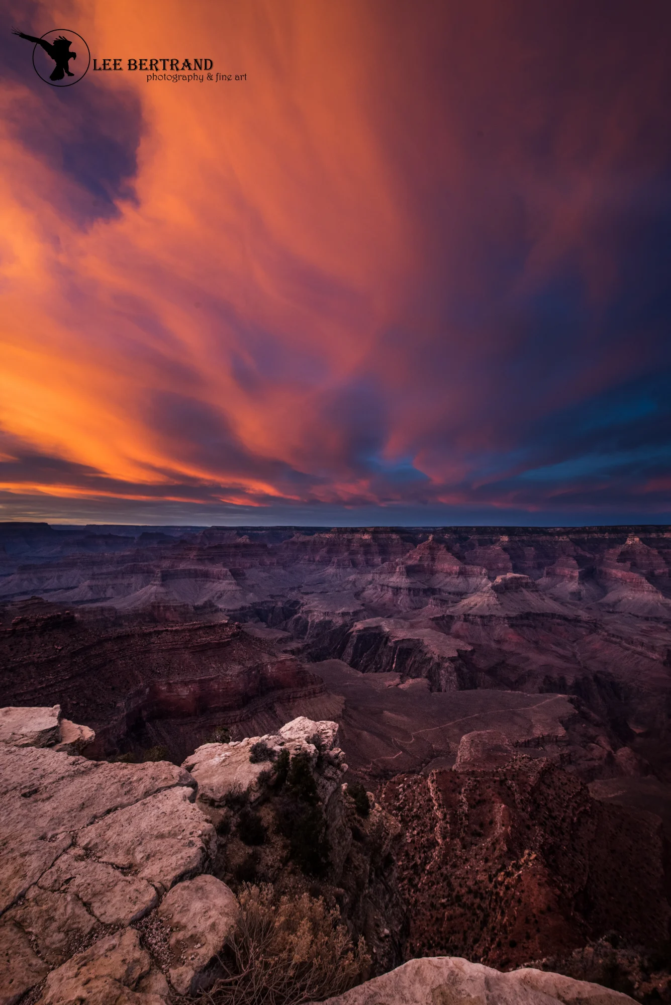 DSC_7288-Edit.jpg
