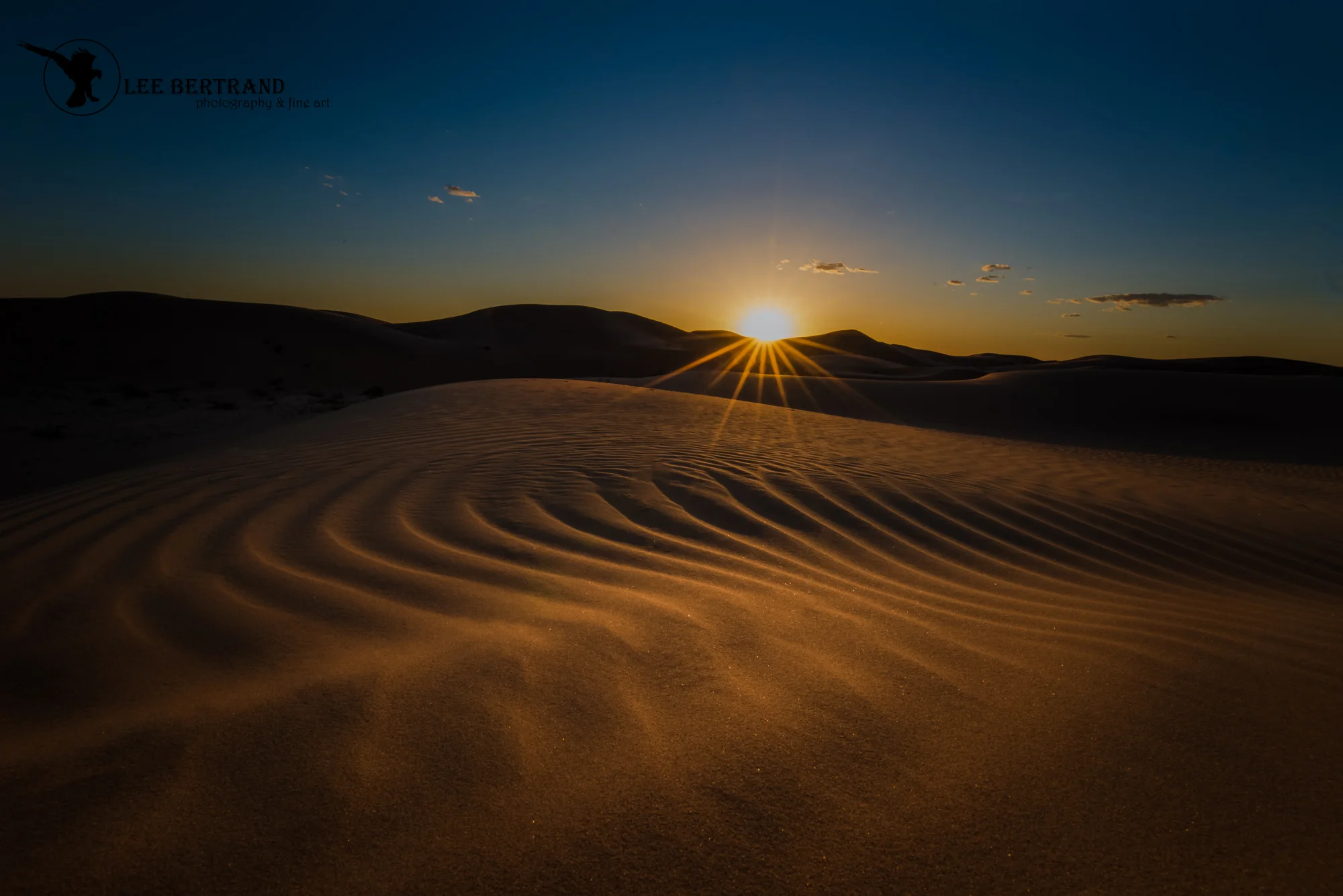 DSC_9557-Edit.jpg