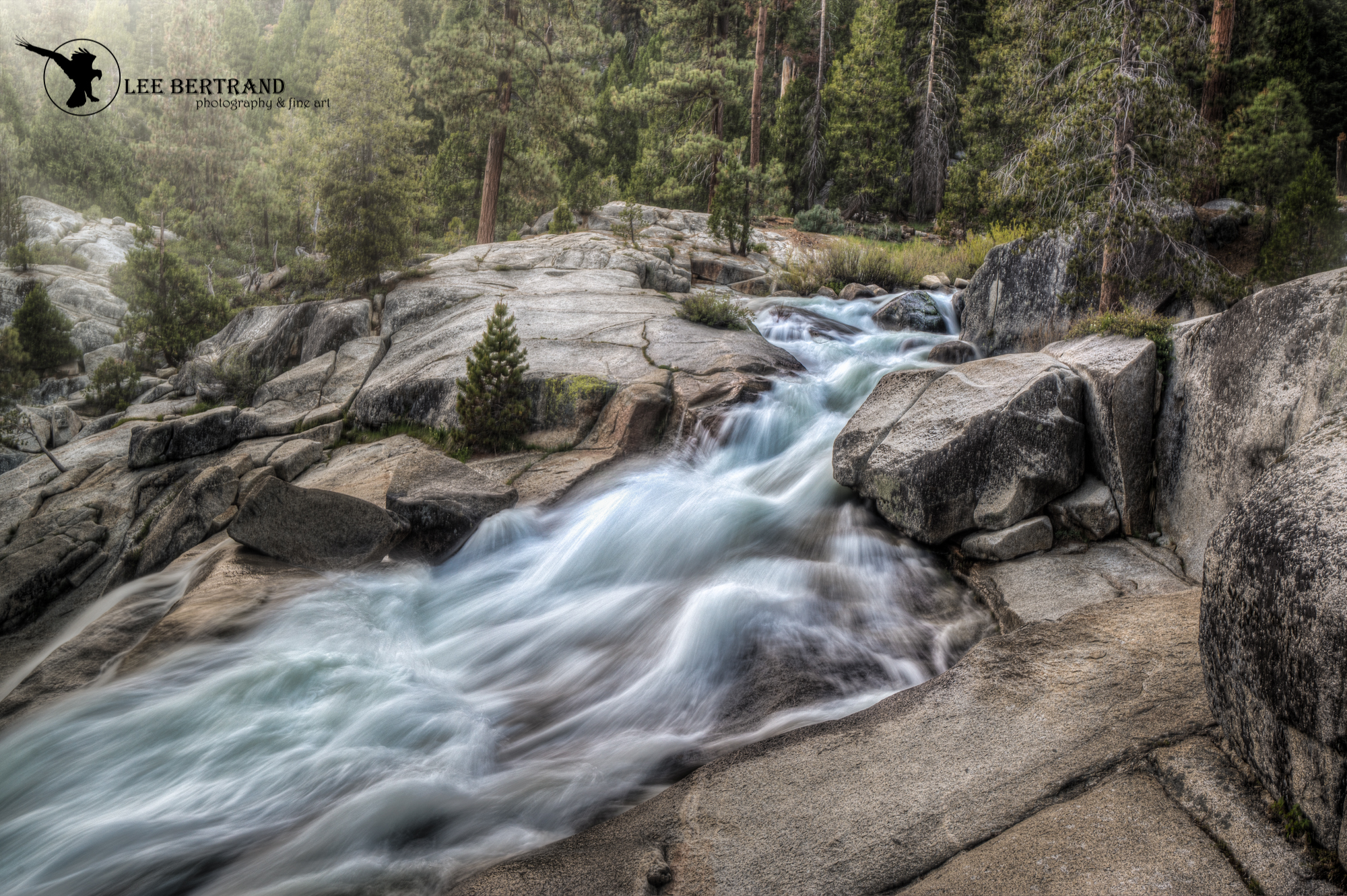 sequoiacascade1-Edit.jpg