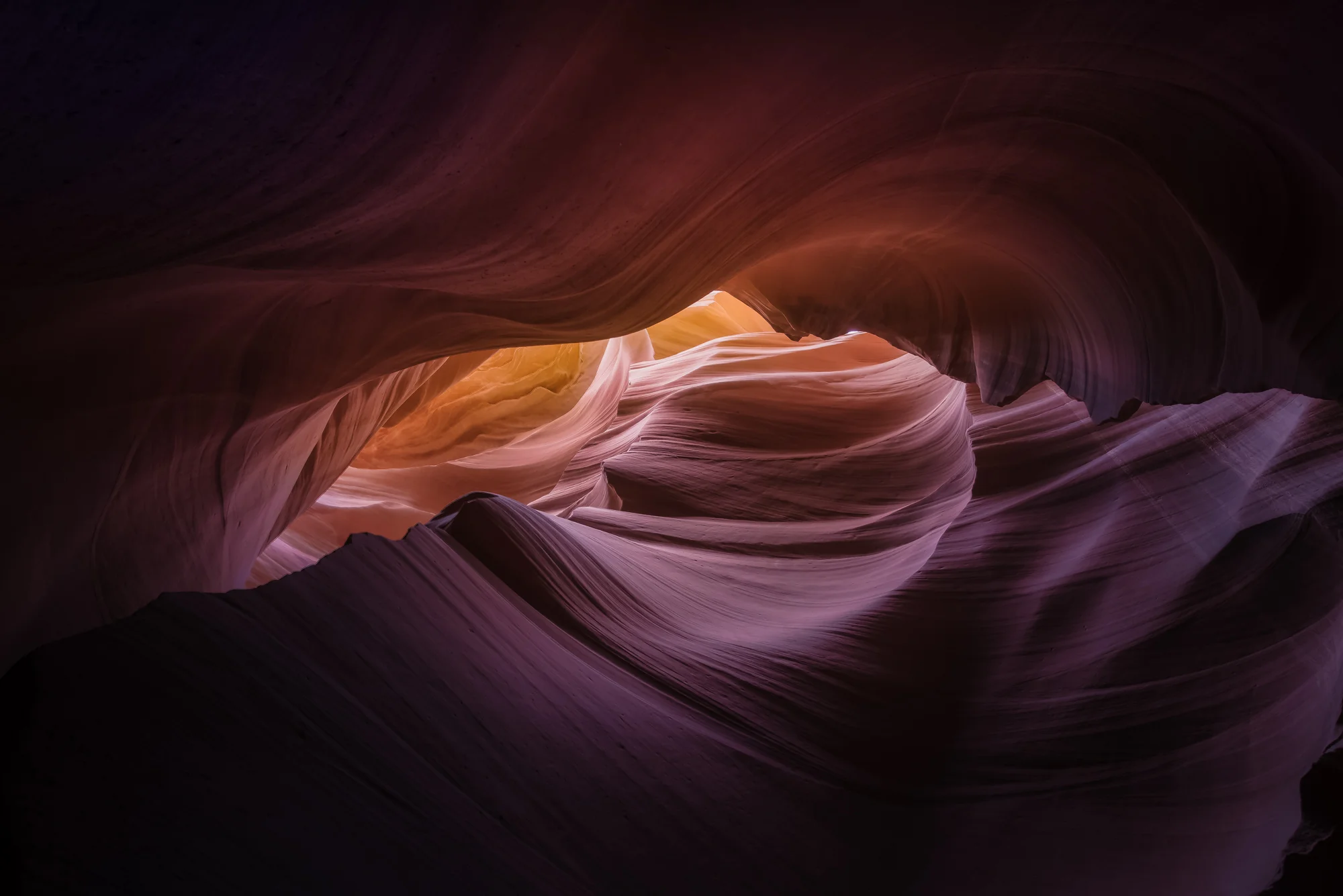 antelope canyon rose.jpg