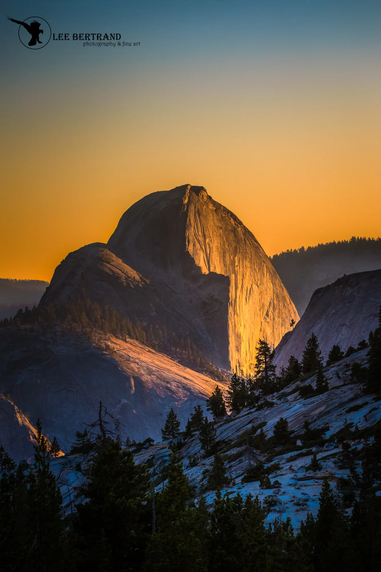 DSC_7054-Edit.jpg