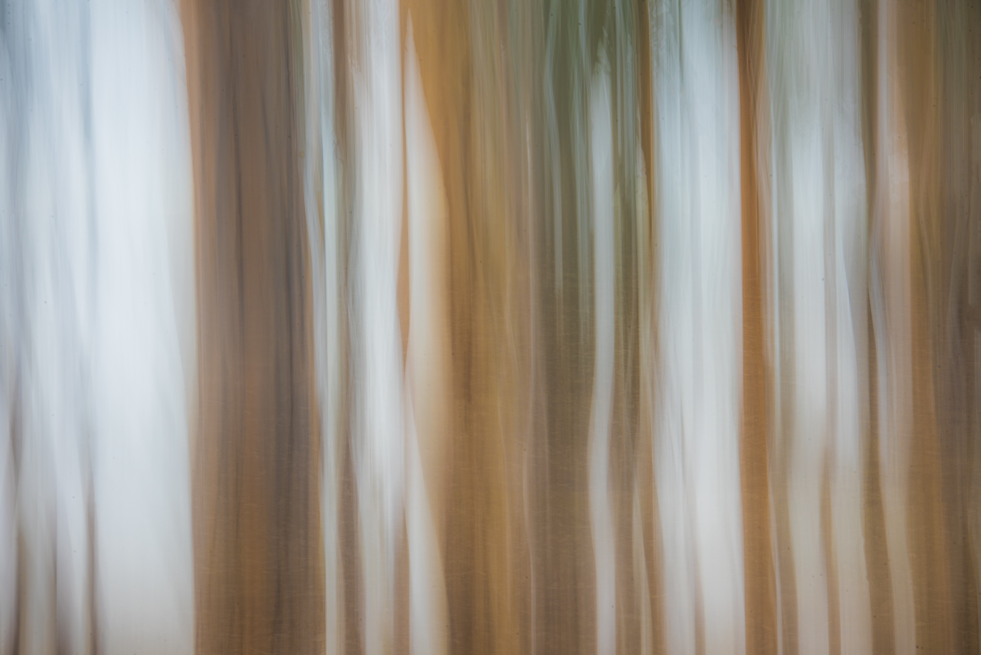 DSC_4026-Edit-Edit.jpg