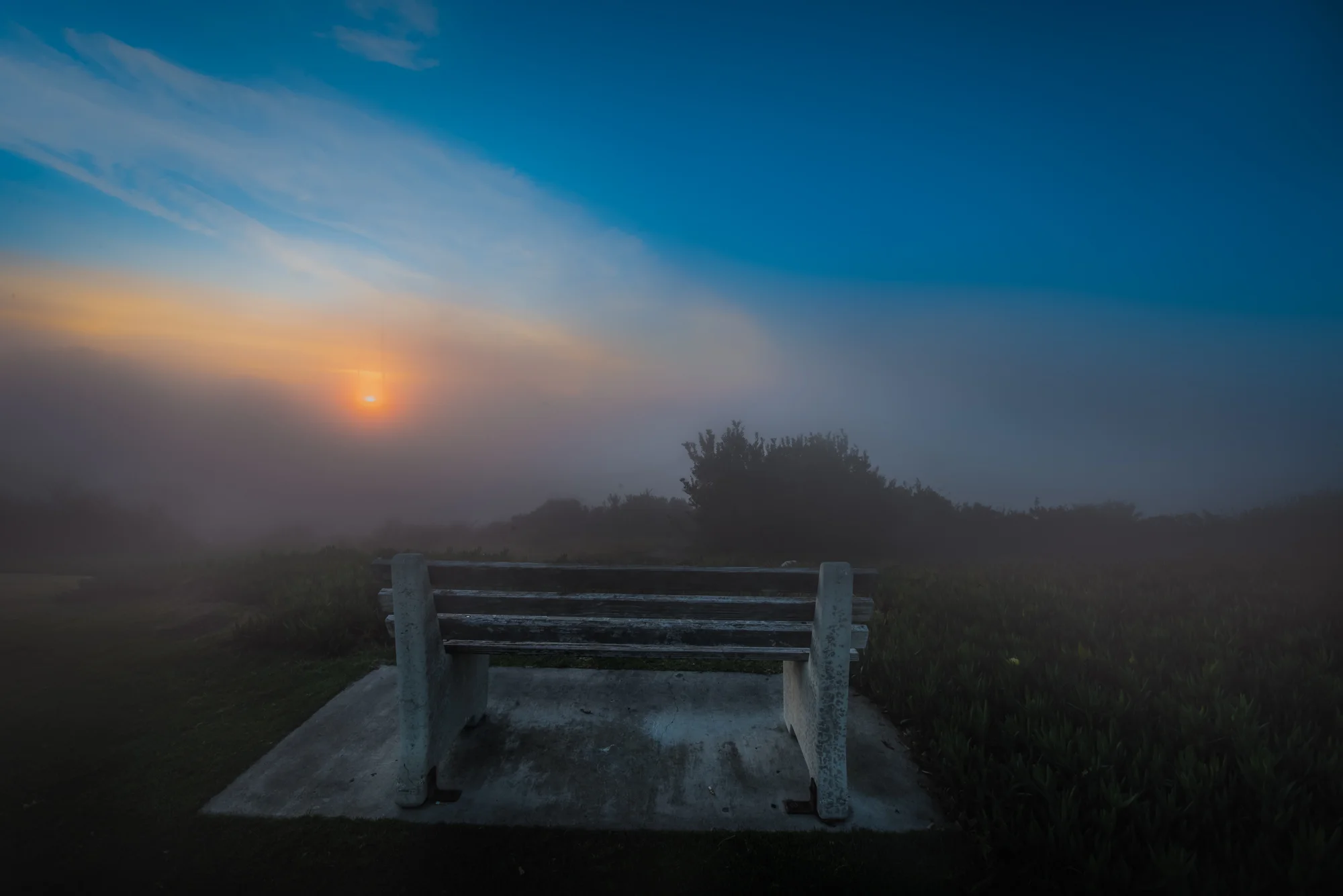 DSC_9151-Edit.jpg