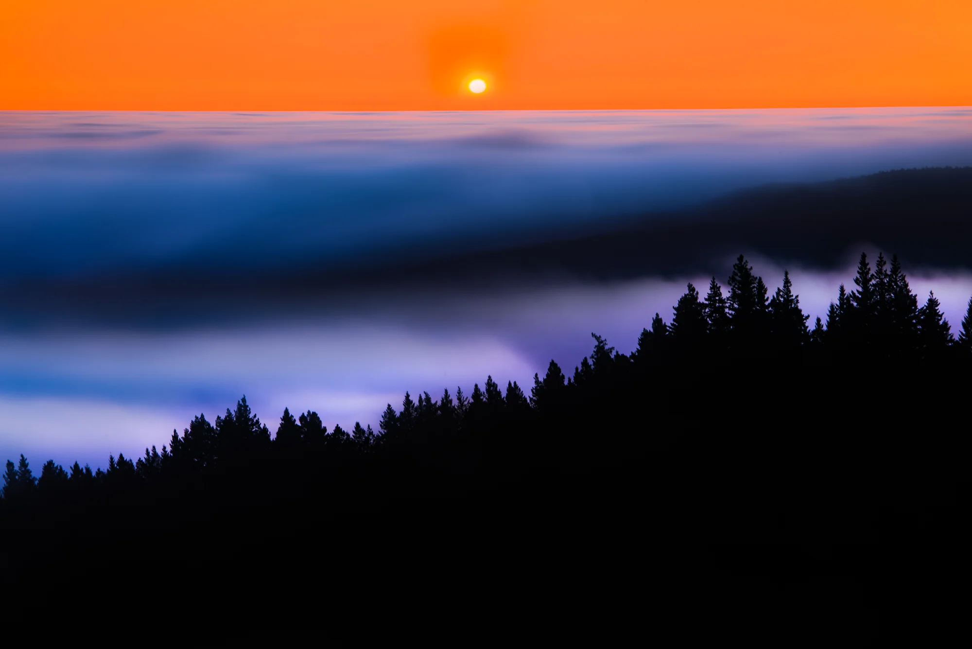 DSC_2744-Edit-Edit.jpg