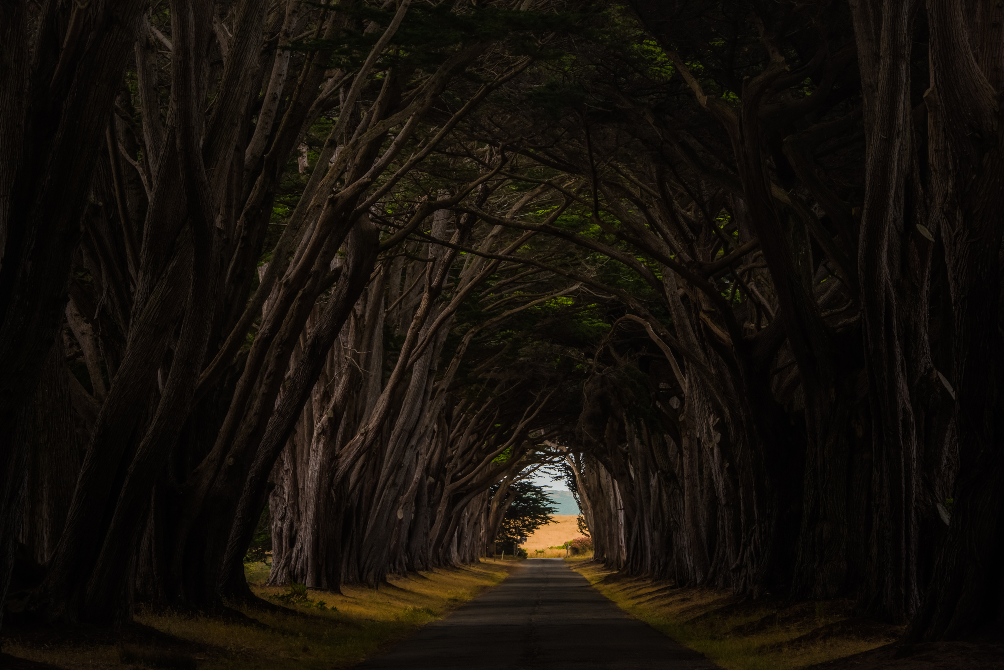 DSC_1258-Edit-4.jpg