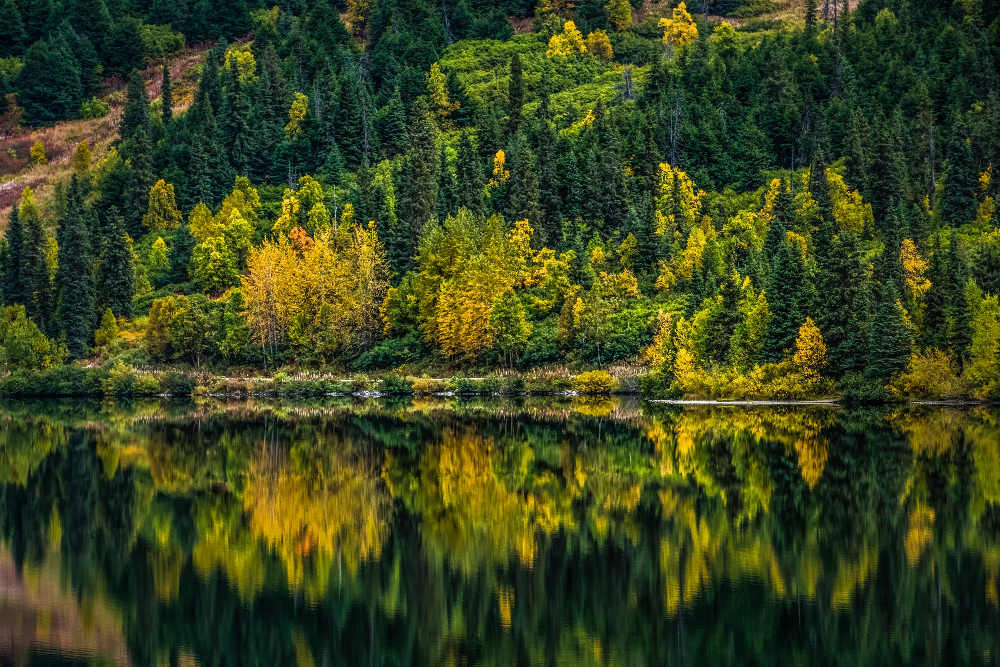 DSC_8714-Edit-2.jpg
