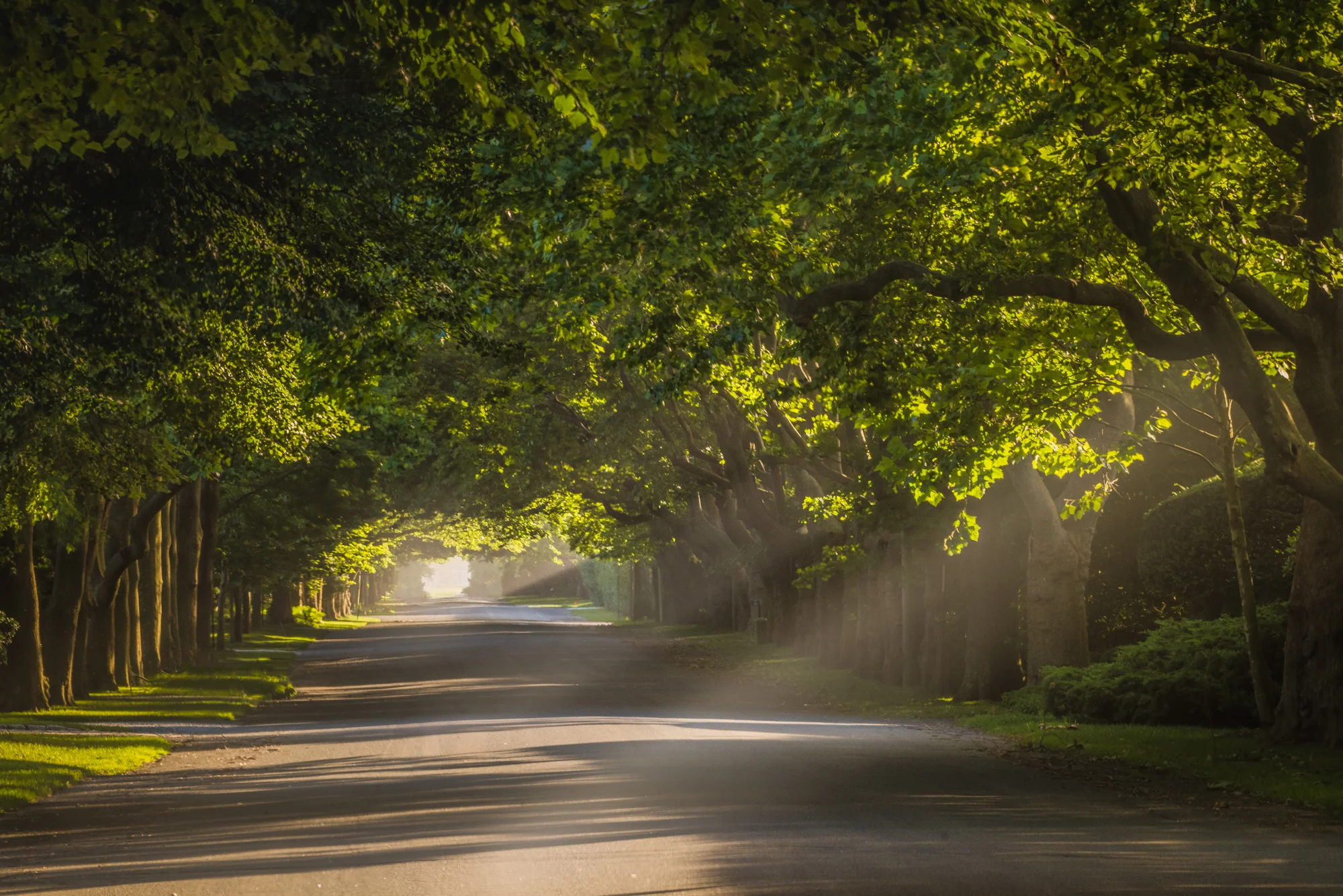 DSC_3257-Edit.jpg
