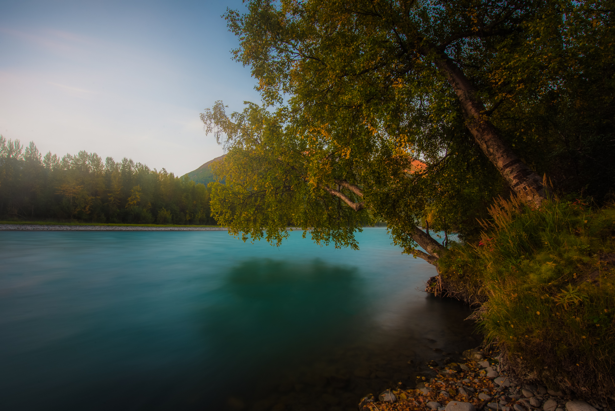 DSC_4464-Edit-2.jpg