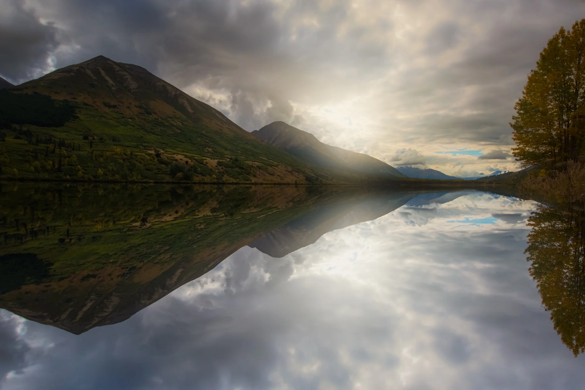DSC_8753-Edit-2.jpg