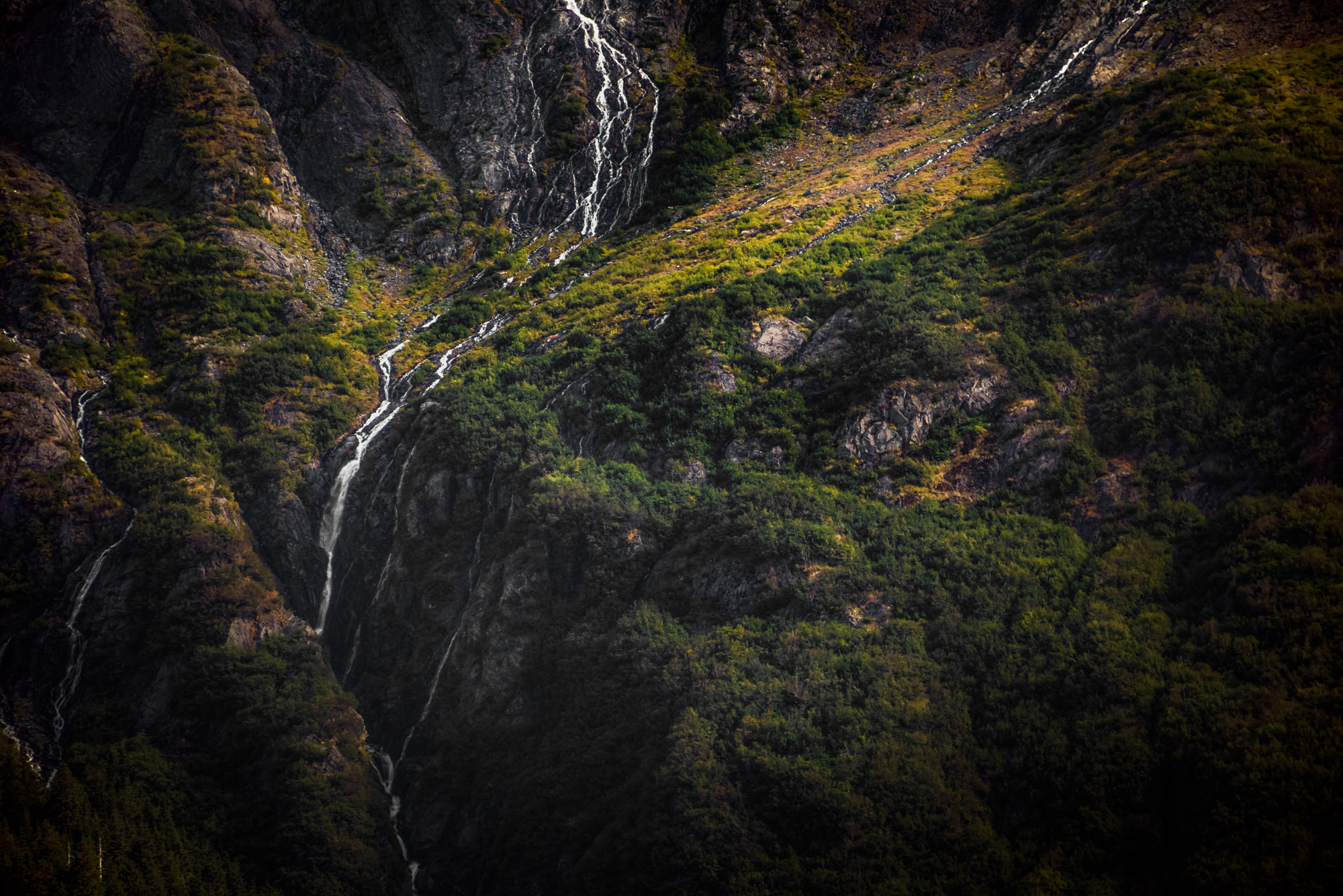 DSC_4104-Edit.jpg