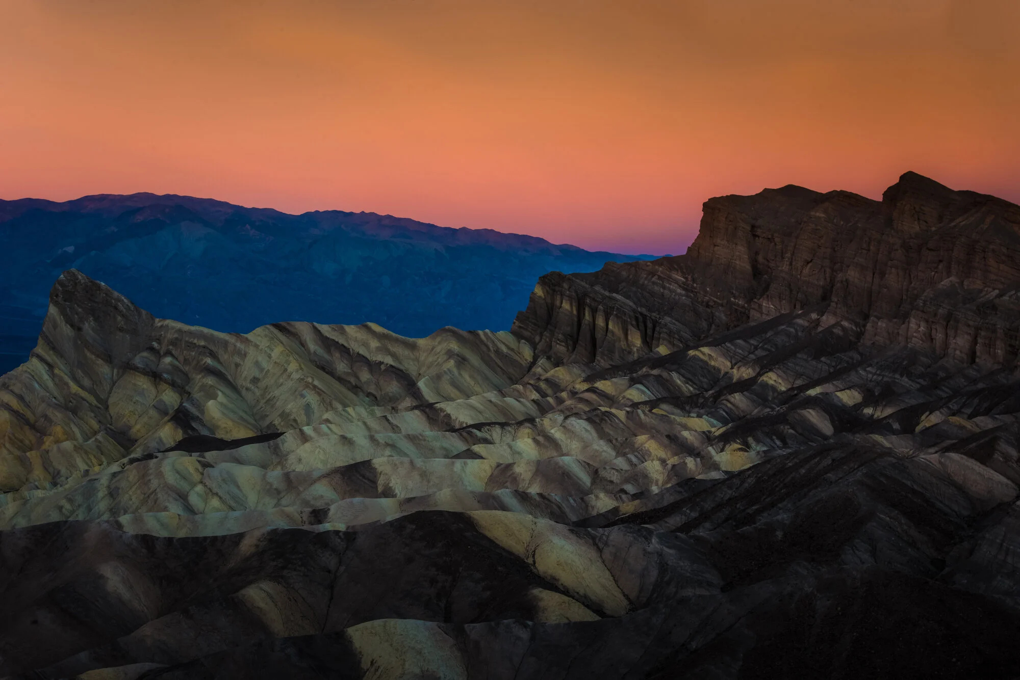 DSC_4070-Edit-2.jpg