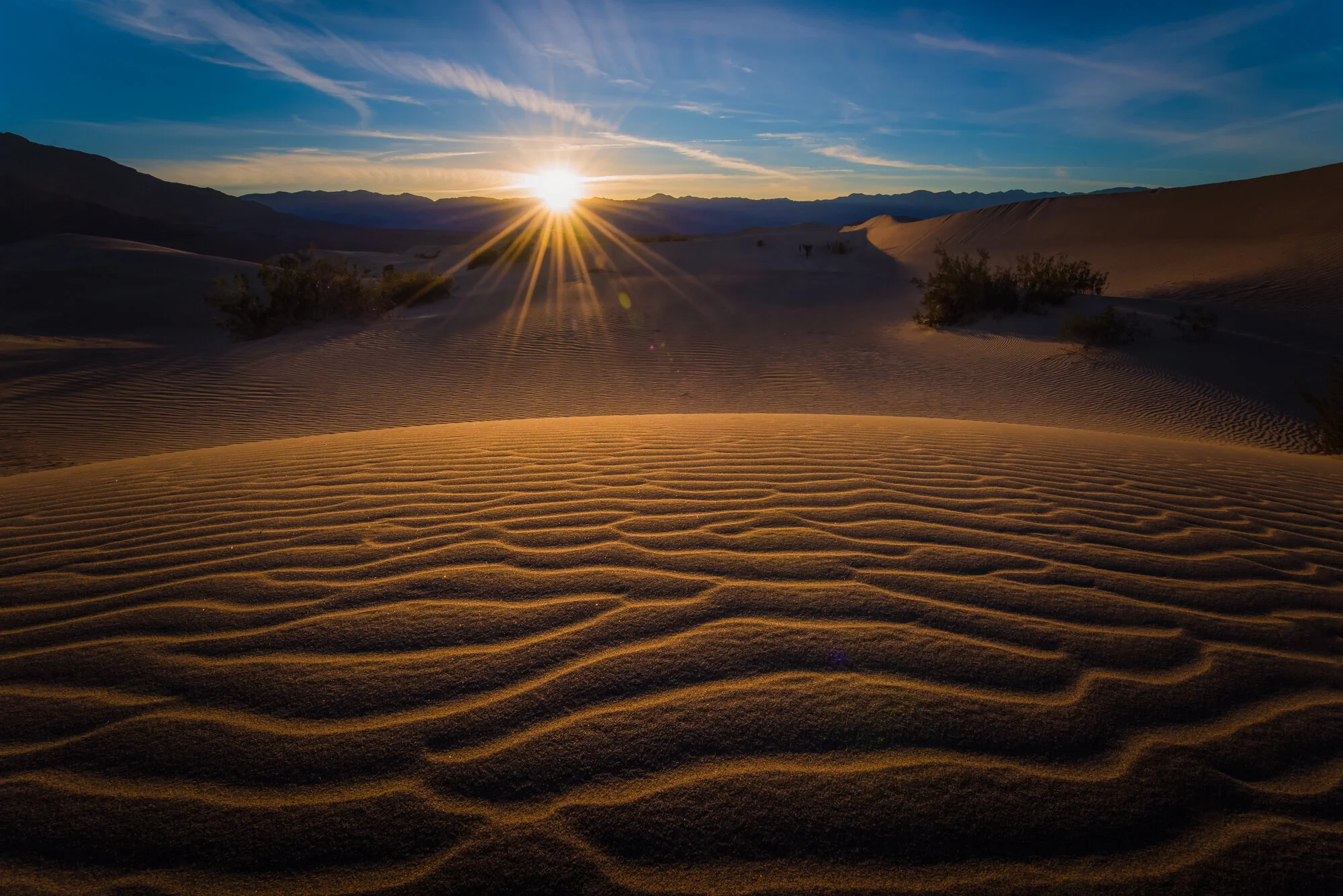 DSC_5721-Edit-Edit.jpg