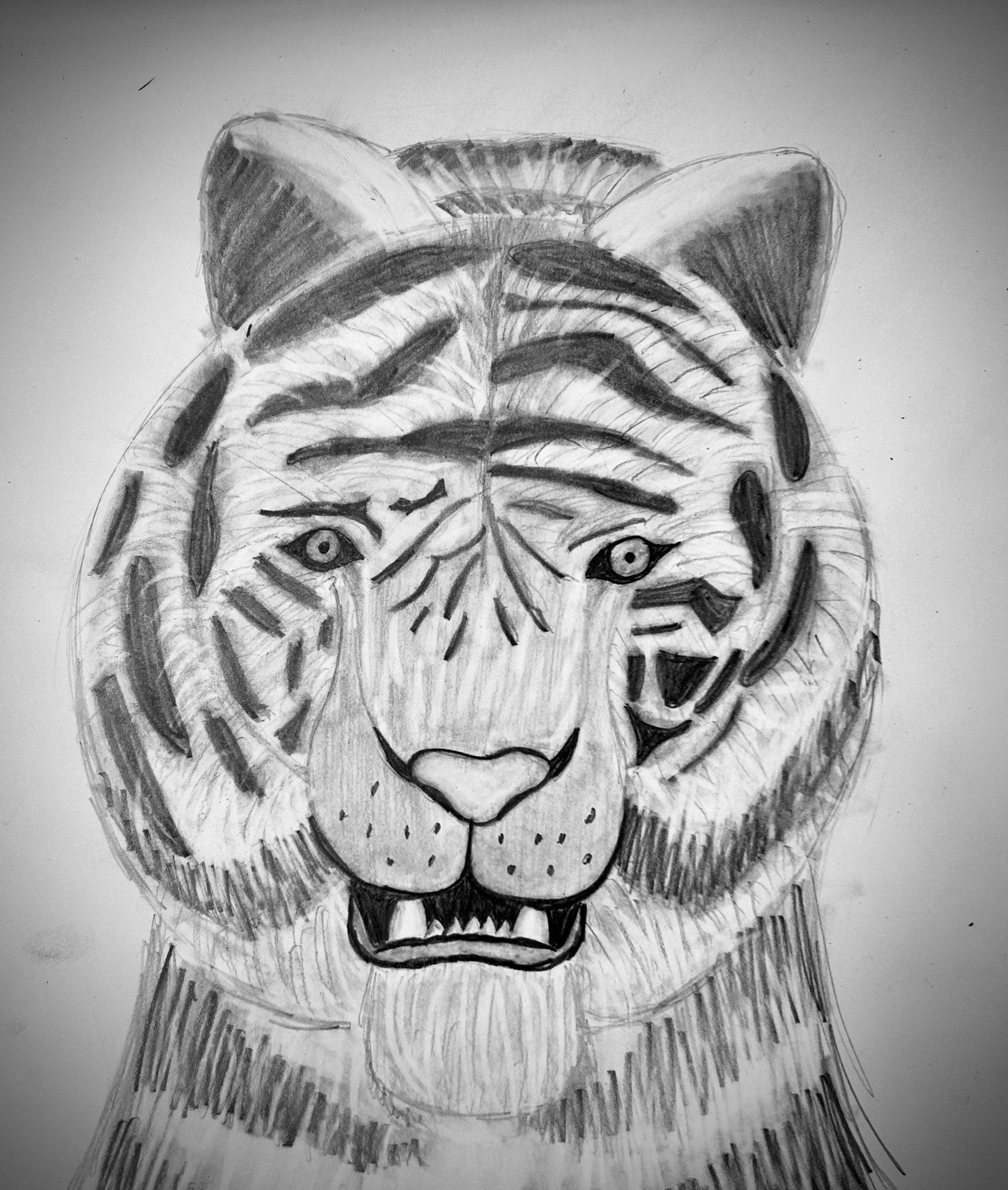 maya tiger.jpg