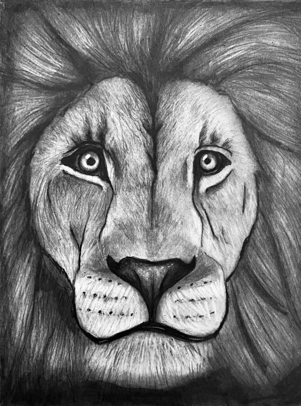 lion1.jpg