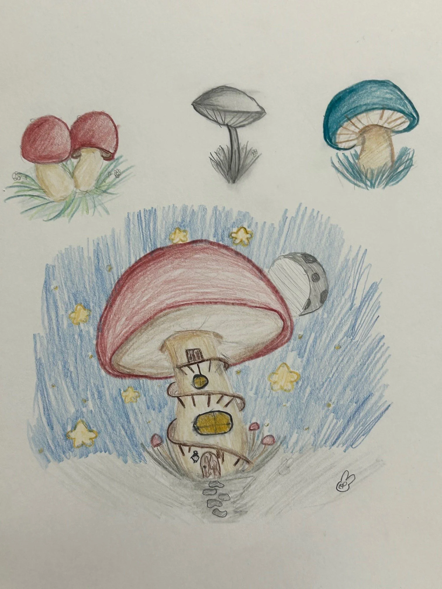 mushroom 2.jpg