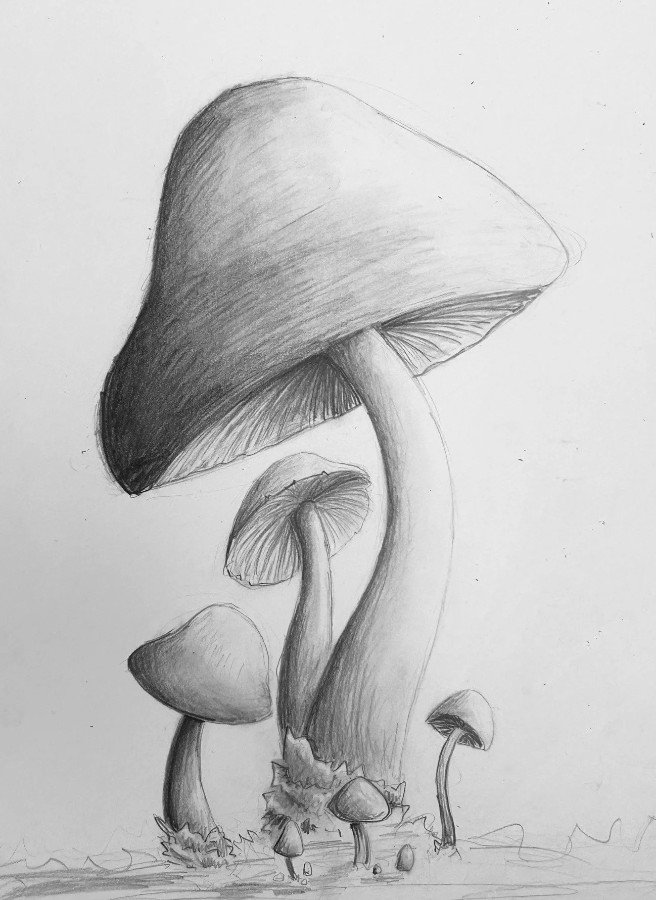 mushroom 3.jpg