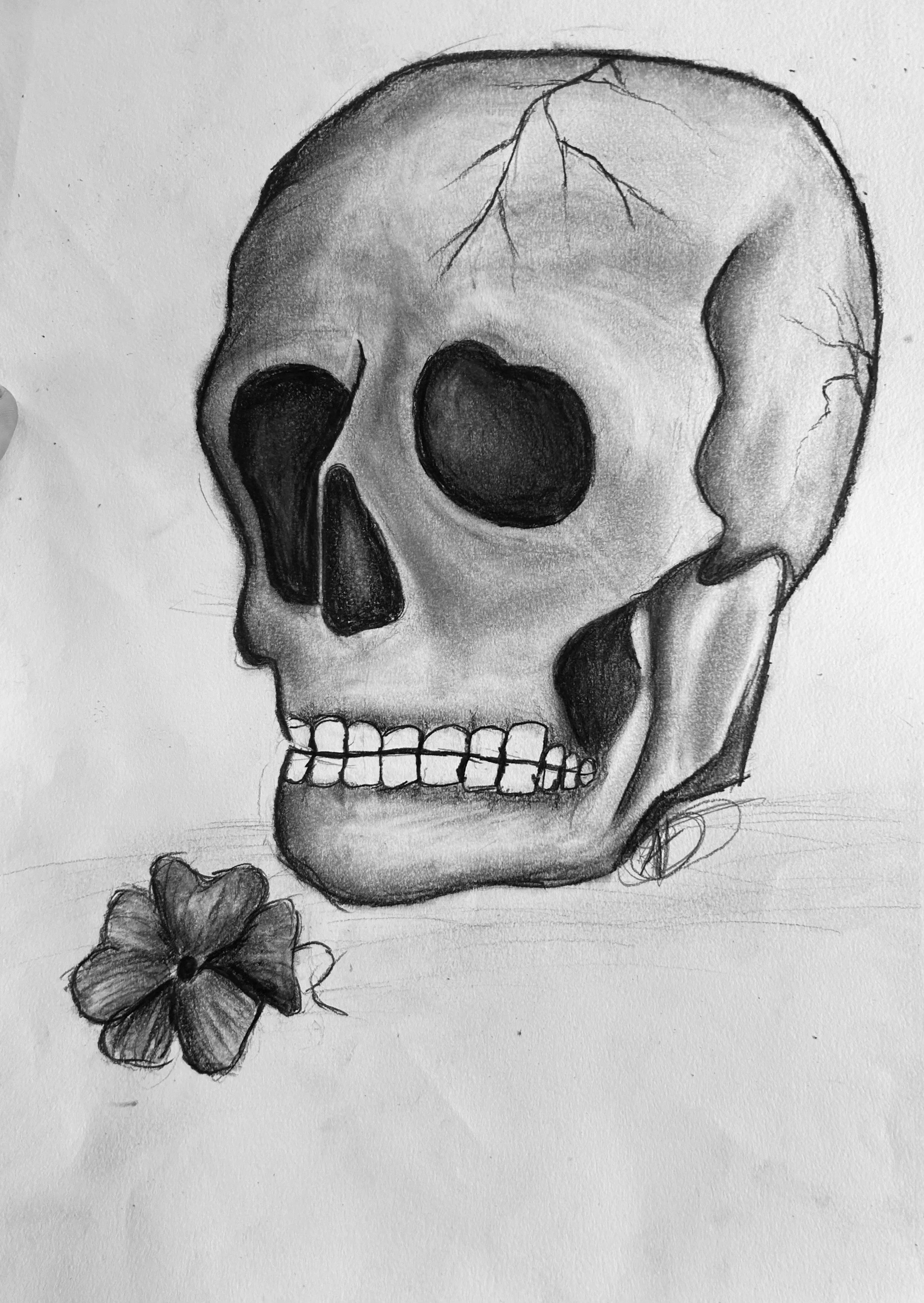 skull1.jpg